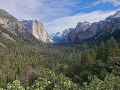 the mountains are covered with snow and trees in the foreground, surrounded by evergreens