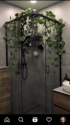 a shower with plants growing on the wall