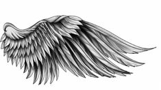 black and white drawing of an angel wing