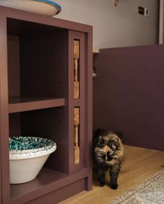 a cat standing next to a bowl on top of a wooden shelf in a room