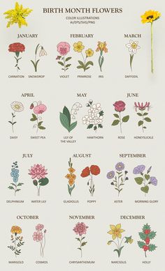 the birth month flowers are shown in different colors and sizes, as well as their names