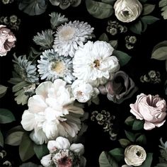 a bunch of flowers that are on a black background