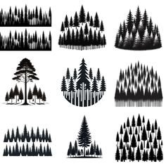 the silhouettes of different trees are shown in black and white