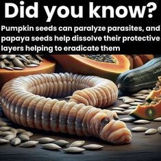 Megan Murphy, Papaya Seeds, Intestinal Parasites, Natural Healing Remedies, Black Castor Oil, Spiritual Healer, Health And Fitness Articles