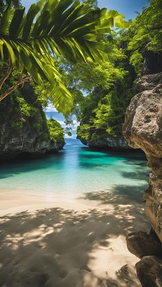 the beach is surrounded by trees and rocks, with clear blue water in the distance