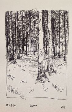 a pencil drawing of trees in the woods