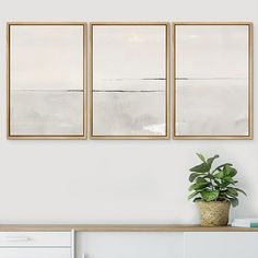 three paintings hanging on the wall next to a potted plant and white dresser with drawers