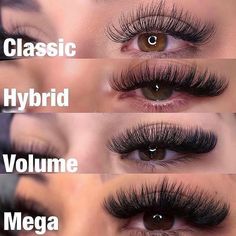 Eyelashes Individual, Extensions Eyelash, Lash Map, Natural Fake Eyelashes, Lash Supplies, Lash Extentions, Lashes Fake Eyelashes