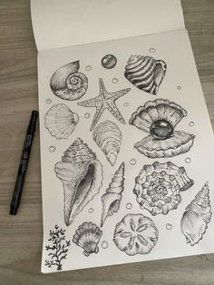 an ink drawing of sea shells and starfishs on paper with a black marker