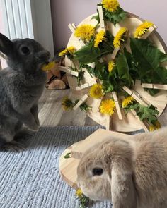 two rabbits sitting next to each other in front of a table with flowers on it