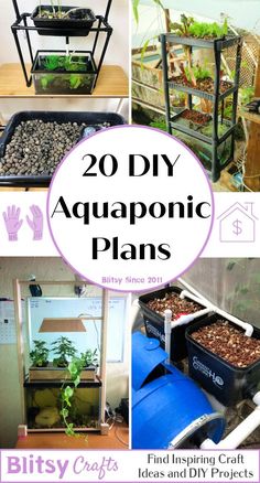 the top 20 diy aquaponic plans and how to use them in your garden