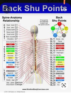 Traditional Chinese Medicine Acupuncture, Meridian Acupuncture, Medical Qigong, Tcm Traditional Chinese Medicine, Meridian Energy, Magnet Therapy, Body Exercises, Autonomic Nervous System