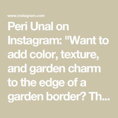 the words peri unal on instagram want to add color, texture, and garden charm to the edge of a garden border?