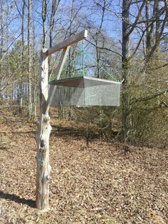 a wooden pole in the woods with a net hanging from it