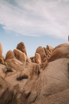 some rocks and plants in the desert under a cloudy sky