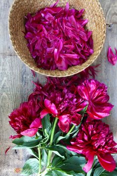 purple flowers are in a basket on the floor