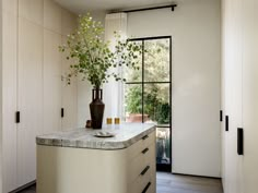 a vase with some flowers sitting on top of a counter