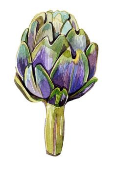 a watercolor painting of an artichoke with purple and green leaves on it