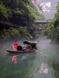 a person in a boat on a river