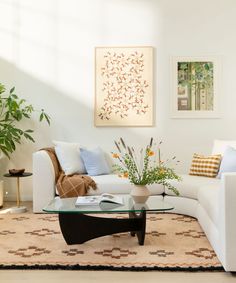 a living room filled with furniture and a glass coffee table on top of a rug