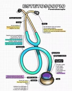 the anatomy of a stethoscope