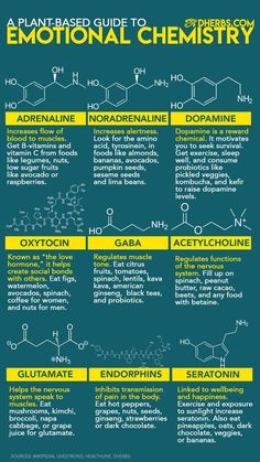 an info poster describing the different types of chemicals and how they are used to make them