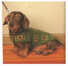 a brown dog wearing a green sweater sitting on the floor next to a white wall