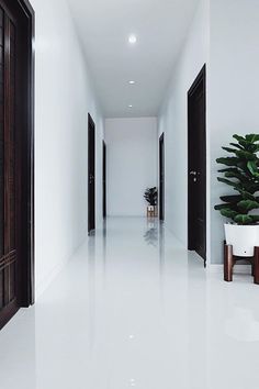 an empty hallway with potted plants on either side and two doors leading to another room