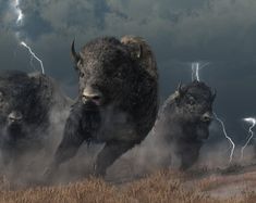 three bison are running through the grass with lightning in the background