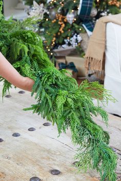 a woman is holding a bunch of green plants in front of a christmas tree with lights on it