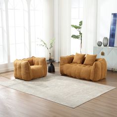 a living room with two couches and a rug in front of the television set