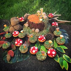 cupcakes are arranged in the shape of mushrooms and pine cones