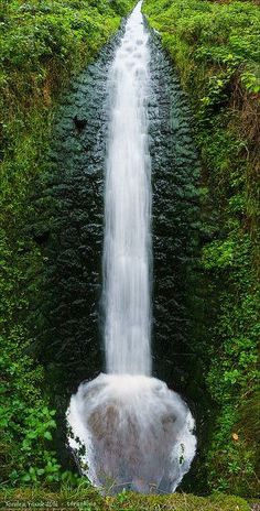 a large waterfall in the middle of a lush green forest