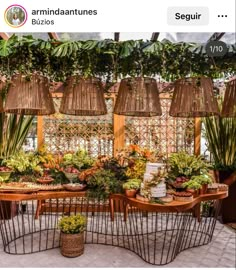 a table that has some plants on it and is surrounded by potted plants in the background