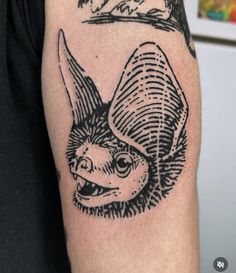 a black and white image of a bat on the arm