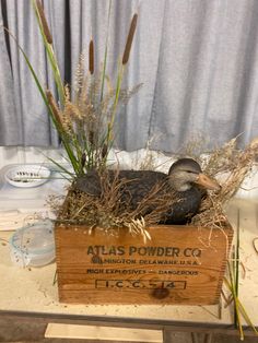 a wooden box with some plants in it