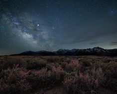 the night sky is filled with stars and clouds over mountains in an open field, with wildflowers growing on the ground