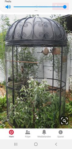 a bird cage that has plants inside of it