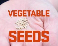 a person holding seeds in their hands with the words vegetable seeds