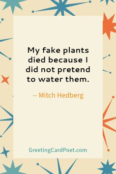 a quote that reads, my fake plants did because i did not pretend to water them