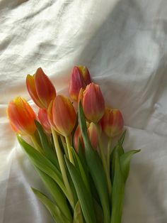 a bunch of tulips sitting on top of a white sheet