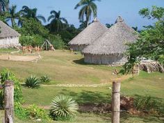 an area with grass huts and palm trees