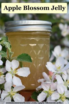 an apple blossom jelly in a mason jar surrounded by blooming flowers with text overlay