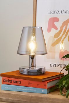 a lamp sitting on top of two books next to a plant