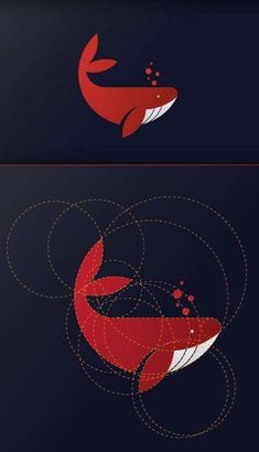 two different types of fish on black and red background, one with an orange tail