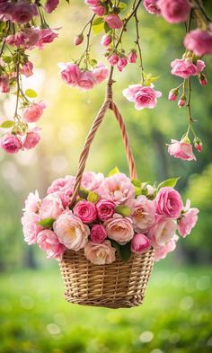 a basket filled with pink flowers hanging from a tree branch in the sunbeams