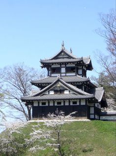 a tall building sitting on top of a lush green hillside