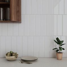 a kitchen counter with plates and cups on it, next to a potted plant