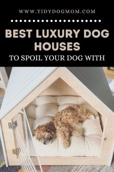 a dog laying in its bed with the words best luxury dog houses to spoil your dog with