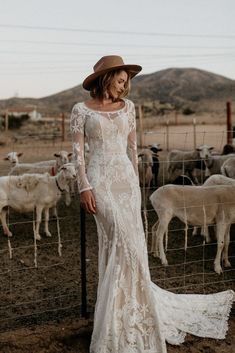 a woman in a white dress and hat standing next to a fence with sheep behind her